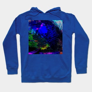 Vivid Hoodie